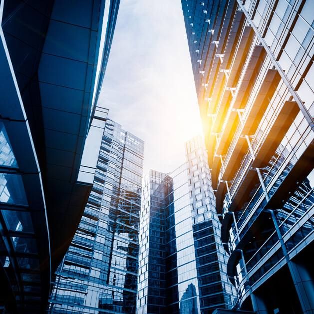 Avena Group Exporter PLLC