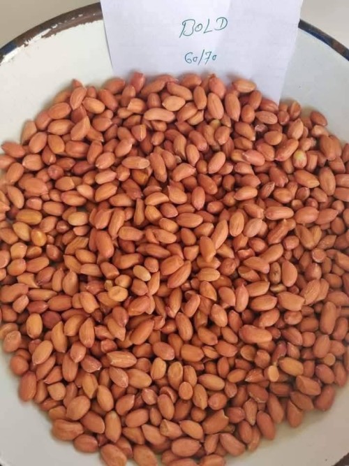 Wholesale Natural Organic First Grade Shelled Peanut Bulk Raw Peanut Sorting Peanuts Nuts & Kernels