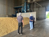 Tasty Super Basmati Rice At Low Price Hot Selling Premium Grade Quality Bulk Quantity Delicious Super Basmati Rice