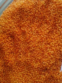 Copper wire scrap is a high-quality raw material widely used in recycling, manufacturing, and industrial applications.