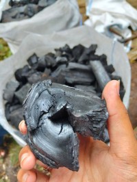 Pure Quality Hard Wood Coconut Shell Charcoal Briquette Buy Cheap Hardwood Charcoal BBQ Charcoal Cheap Price