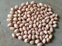 Wholesale Natural Organic First Grade Shelled Peanut Bulk Raw Peanut Sorting Peanuts Nuts & Kernels