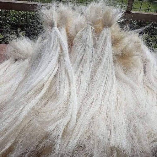 Premium Quality Sisal Fiber for Crafts and Ropes with Fast Delivery Guaranteed