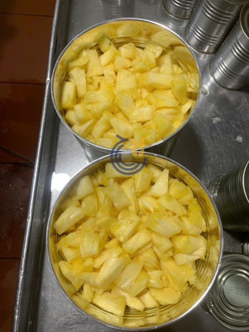 High Quality Canned Pineapple in Syrup Best Price Delicious Canned Fruit