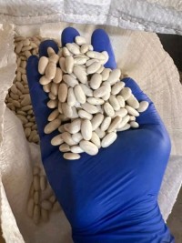 Leading Supplier High Quality Wholesale Bulk Dried White Kidney Beans