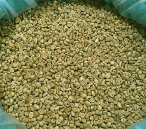 Arabica Green coffee beans Top Grade