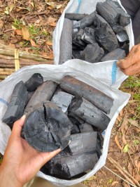 Pure Quality Hard Wood Coconut Shell Charcoal Briquette Buy Cheap Hardwood Charcoal BBQ Charcoal Cheap Price