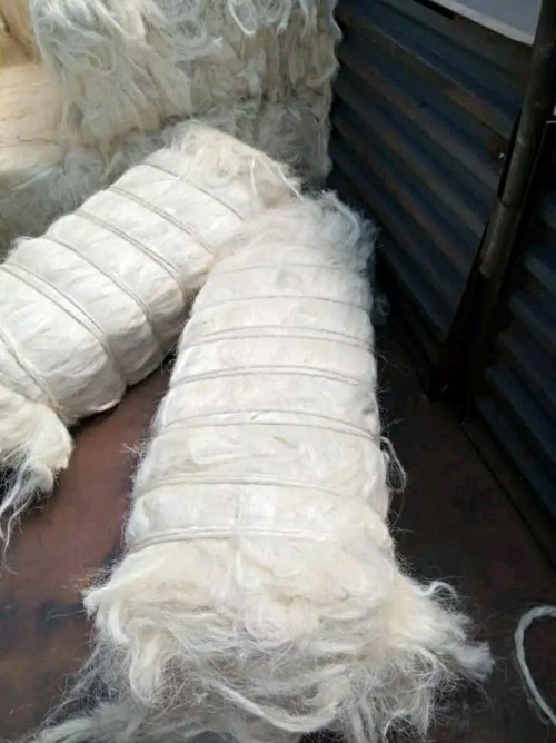 Premium Quality Sisal Fiber for Crafts and Ropes with Fast Delivery Guaranteed