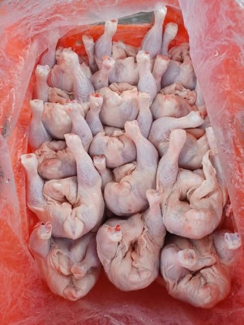 Buy Halal Whole Frozen Chicken for Export /Halal Frozen Whole Chicken