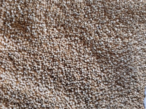 Wholesale Organic White Quinoa Seeds for Healthy Eating High Protein Gluten-Free Superfood Fast Shipping and Top Grade