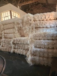 Premium Quality Sisal Fiber for Crafts and Ropes with Fast Delivery Guaranteed