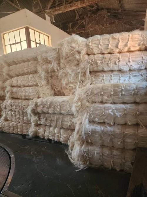 Premium Quality Sisal Fiber for Crafts and Ropes with Fast Delivery Guaranteed