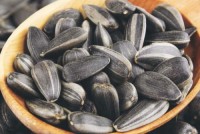 Organic Sunflower Seeds Raw Dried Premium Grade With Customized Packing at Factory Price