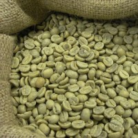 Robusta Coffee Beans 60kg Jute Bag G1 Raw Coffee S16 Wet Polished Green Coffee Bean
