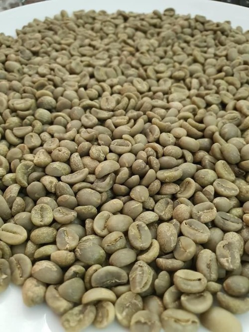 Arabica Green coffee beans Top Grade